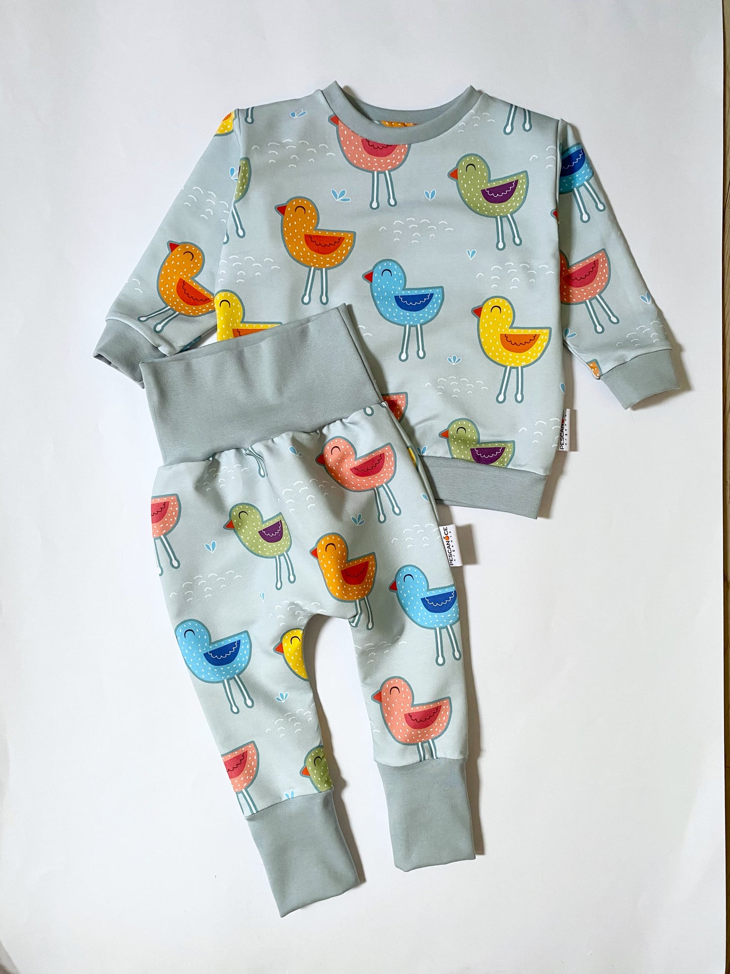 Felpa Classica e GWM PANTS Uccelletti