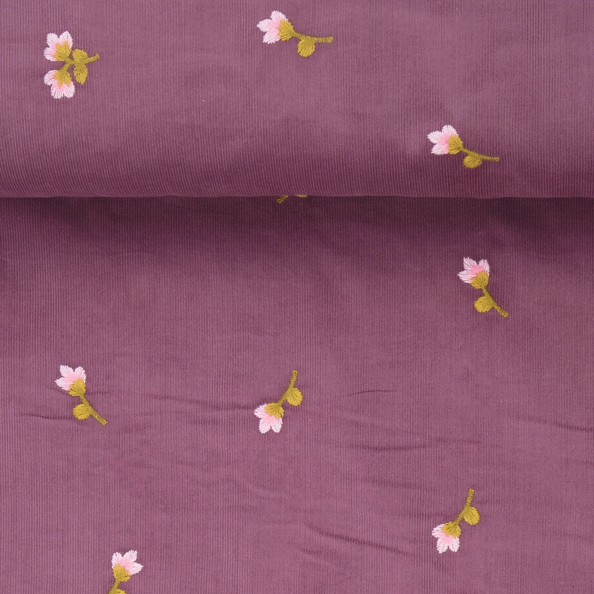 PREORDINE I VELLUTINI - LIMITED EDITION