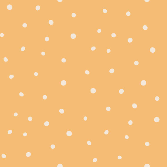 AUTUNNO 2026 - ABBINAMENTI - POIS SALMONE