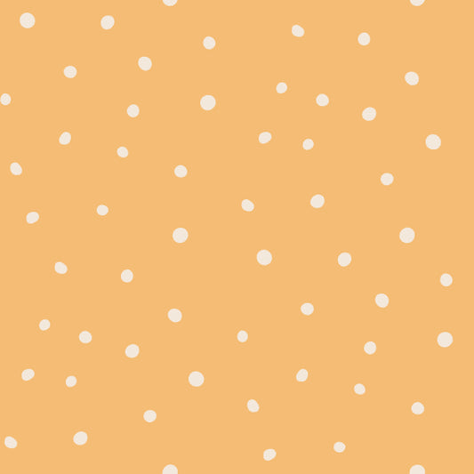 AUTUNNO 2026 - ABBINAMENTI - POIS SALMONE