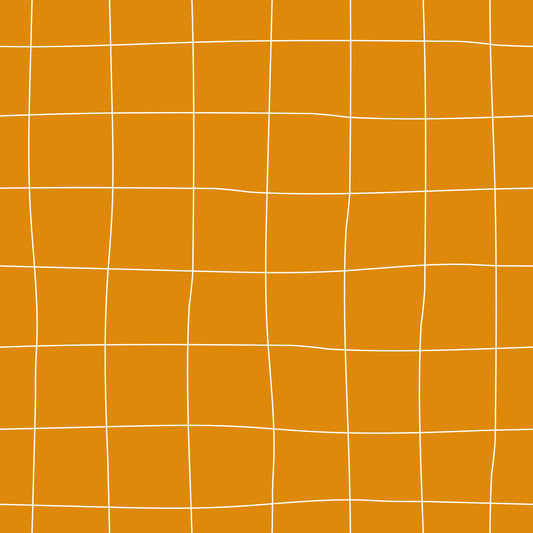 AUTUNNO 2026 - ABBINAMENTI - GRIGLIA ARANCIO
