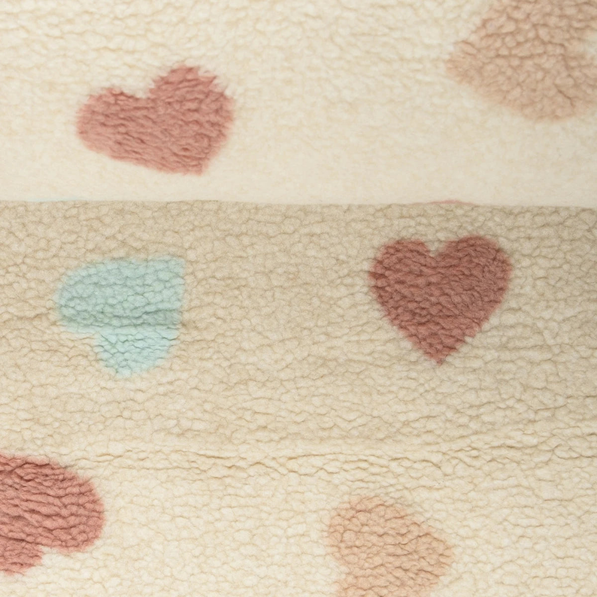 PREORDINE LE COCCOLONE - LIMITED EDITION