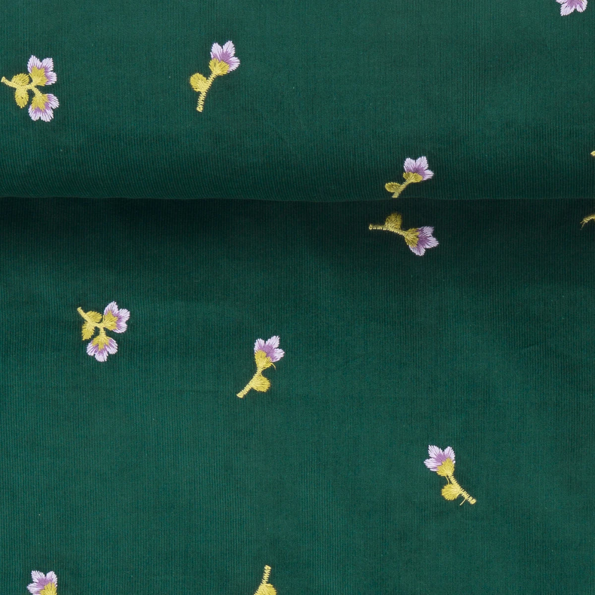PREORDINE I VELLUTINI - LIMITED EDITION
